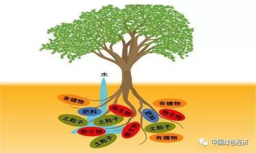 生物农业与环境